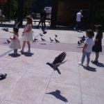 Pigeons in a square